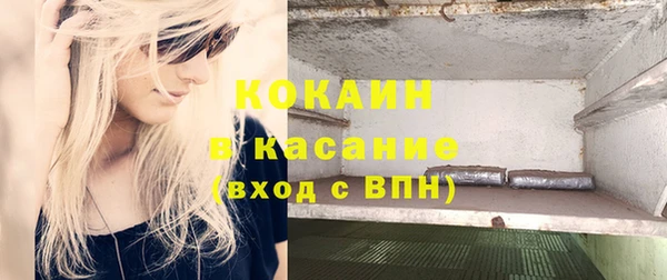 хмурый Пересвет