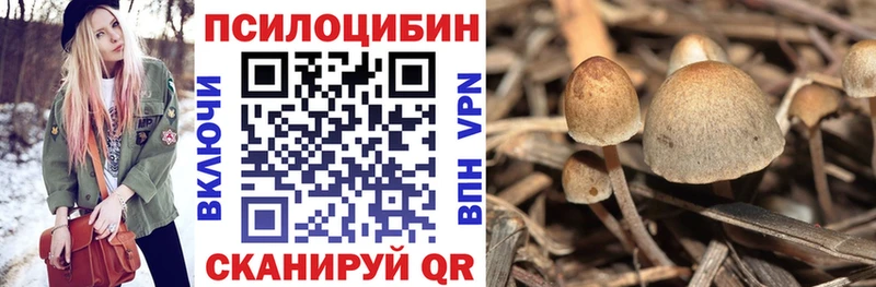 Псилоцибиновые грибы ЛСД omg сайт darknet наркотические препараты закладка Лаишево