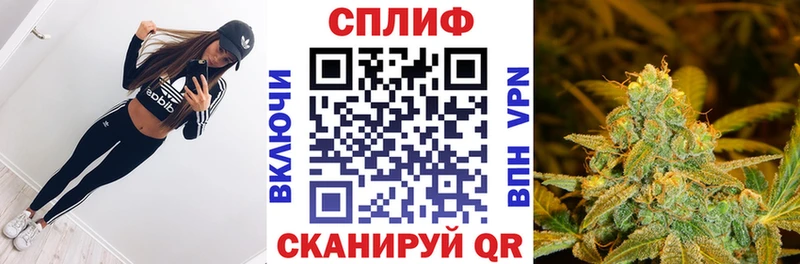 Каннабис гибрид  Лаишево 